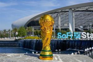印媒：印度3000万-3500万美元敲定世界杯版权，FIFA下调了要价配图